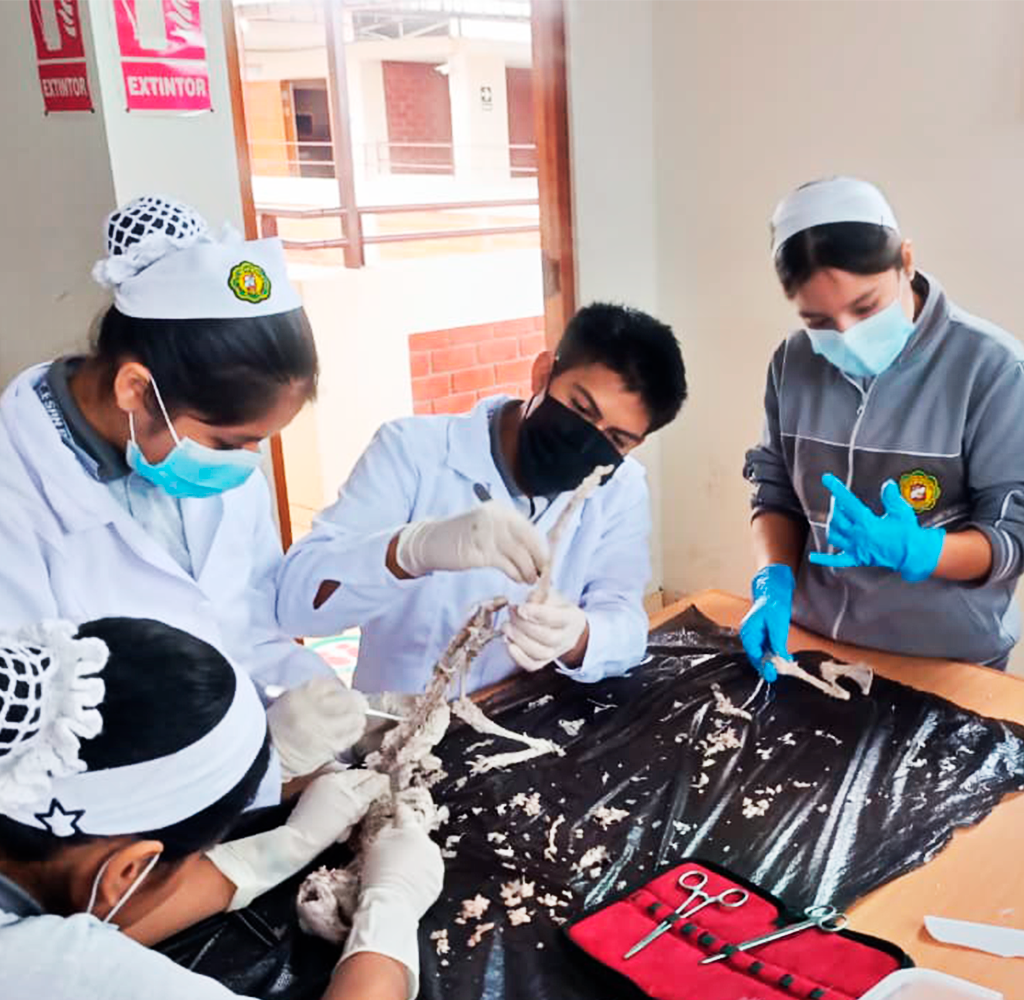 Laboratorio de ciencias