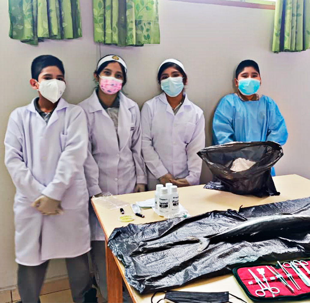 Experiencias de ciencia
