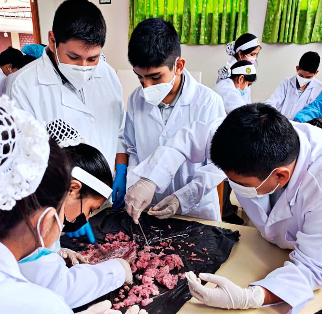 Propuesta educativa San Pablo